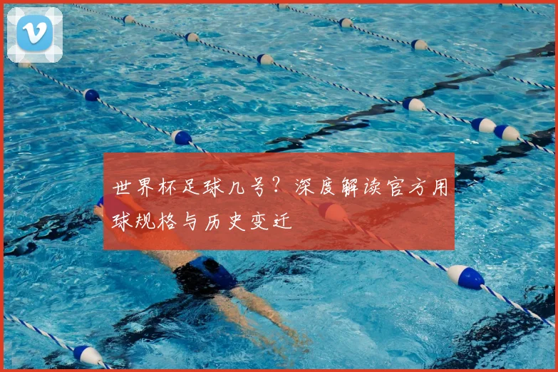 世界杯足球几号？深度解读官方用球规格与历史变迁