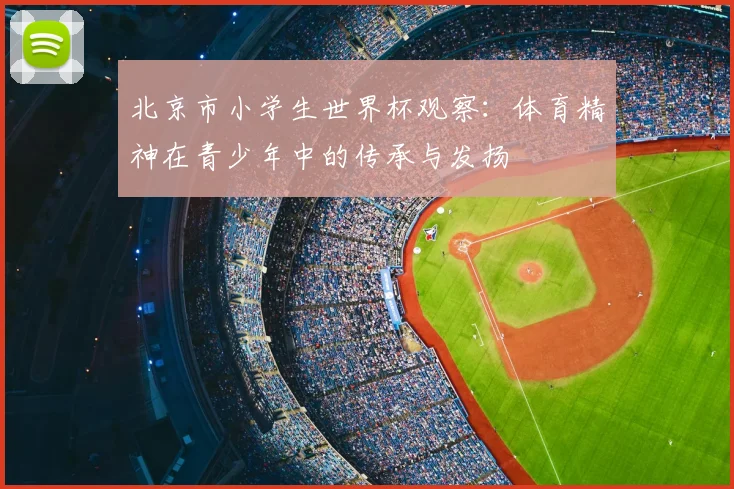 北京市小学生世界杯观察:体育精神在青少年中的传承与发扬