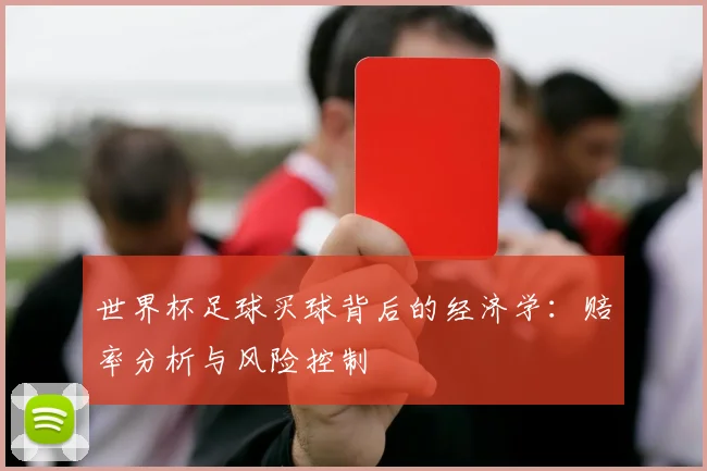 世界杯足球买球背后的经济学：赔率分析与风险控制