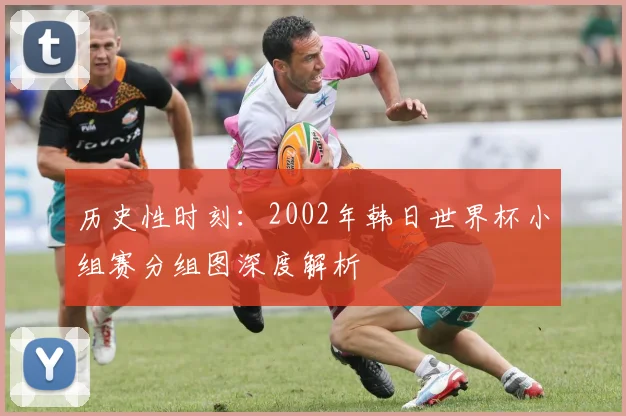 历史性时刻：2002年韩日世界杯小组赛分组图深度解析