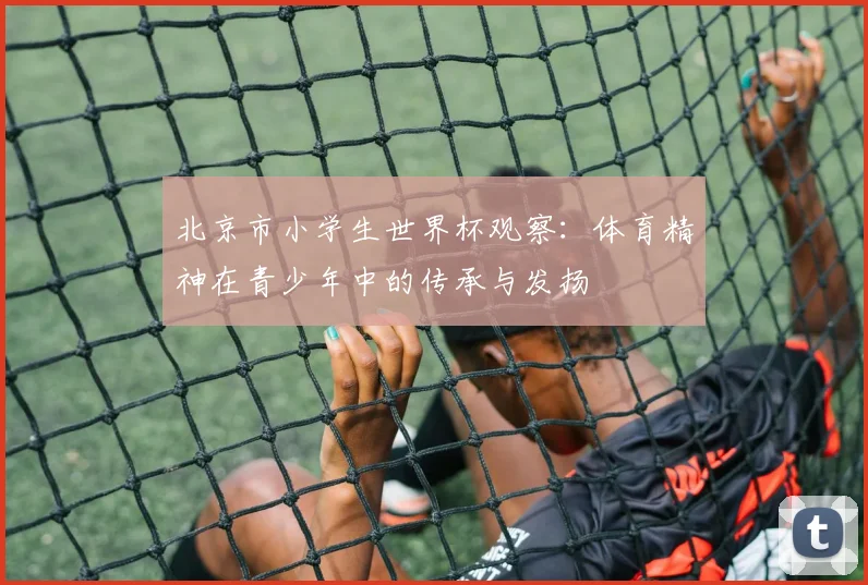 北京市小学生世界杯观察:体育精神在青少年中的传承与发扬