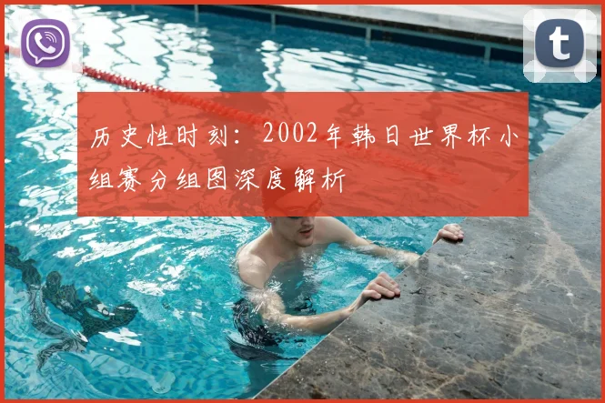 历史性时刻：2002年韩日世界杯小组赛分组图深度解析